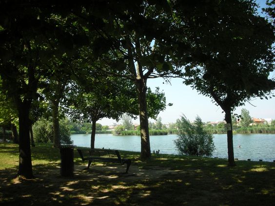 Un pomeriggio al Parco del Gelso - Romagna Damare