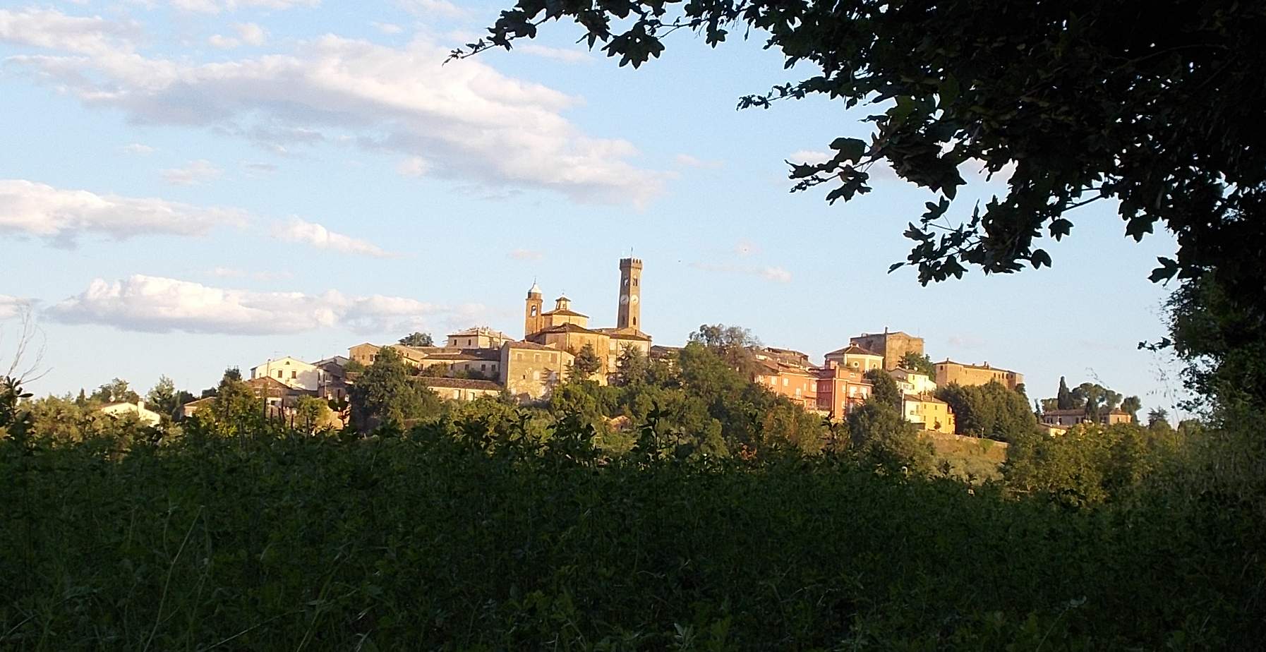 Perchè il Sangiovese si chiama così? - Romagna Damare