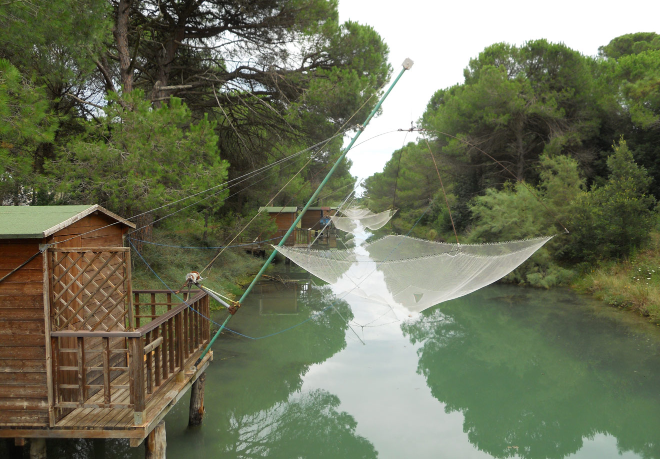 Pineta di Cervia - Romagna Damare